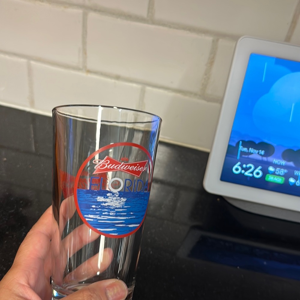 Budweiser Florida glass